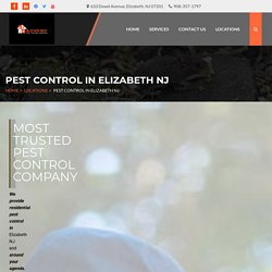 Looking for a Elizabeth NJ pest control expert for your premises? Contact us at 908-357-1797 now