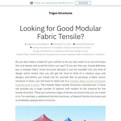 Looking for Good Modular Fabric Tensile? – Trigon Structures