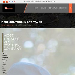 Looking for a Sparta NJ pest control expert for your premises? Telephone us at 908-357-1797 now