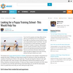 Looking for a Puppy Training School – This Would Help You