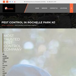 Looking for a Rochelle Park NJ pest control service for your premises? Call us at 908-357-1797 now