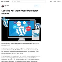 Looking For WordPress Developer Miami?