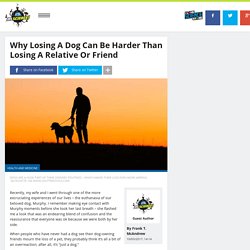 Why losing a dog can be harder than losing a relative or friend