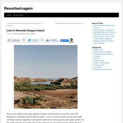 Lost in Komodo Dragon Island