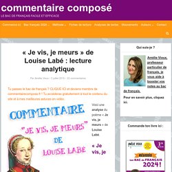 "Je vis, je meurs", Louise Labé : analyse