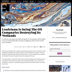 Louisiana Is Suing The Oil Companies Destroying Its Wetlands