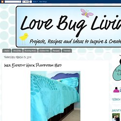 Love Bug Living: Ikea Expedit Hack Platform Bed