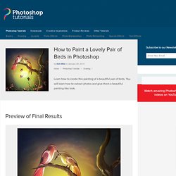 How to Paint a Lovely Pair of Birds in Photoshop