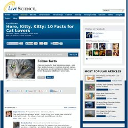 Here, Kitty, Kitty: 10 Facts for Cat Lovers