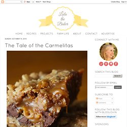 Lulu the Baker: The Tale of the Carmelitas - StumbleUpon