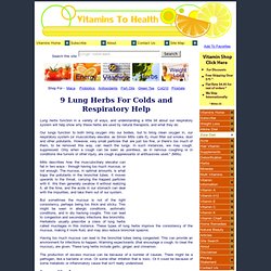 9 Lung Herbs For Colds and Respiratory Help