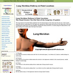 Lung Meridian The Hand Greater Yin (Tai Yin) of the Lung has 11 points