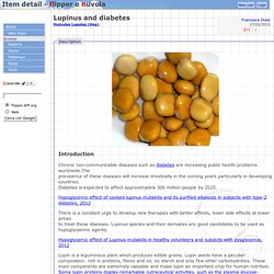 Lupinus et le diabète
