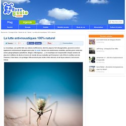 La lutte anti-moustiques 100% naturel