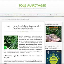 Lutter contre le mildiou : Zoom sur le Bicarbonate de Soude