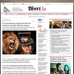 Le Luxembourg compte interdire les animaux sauvages dans les cirques