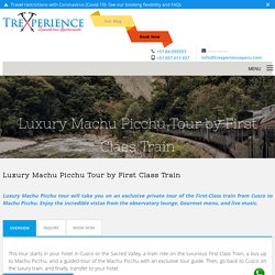 Luxury Machu Picchu Tour Full Day by First Class train - Private Tours