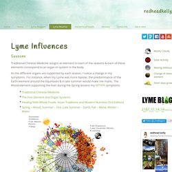 Lyme Influences