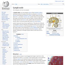 Lymph node