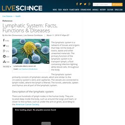 Lymphatic System: Facts, Functions & Diseases