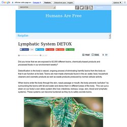 Lymphatic System DETOX