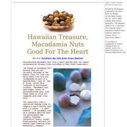 Macadamia Nuts Good For The Heart