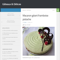 Macaron géant framboise pistache – Gâteaux & Délices