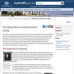 The Macarthurs and the merino sheep