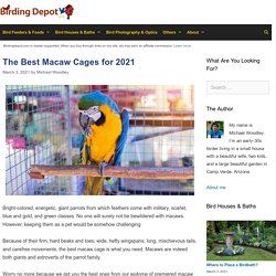 10 Best Macaw Cages Reviewed and Rated in 2021