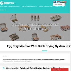 Egg Tray Machine With Brick Drying System in Zimbabwe - Beston Group