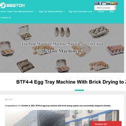 BTF4-4 Egg Tray Machine With Brick Drying to Zambia - Beston Group