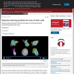 Machine learning predicts the look of stem cells : Nature News & Comment