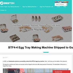 BTF4-4 Egg Tray Making Machine Shipped to Guatemala