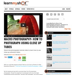 Macro Photography: How to Photograph Using Close Up Tubes