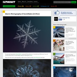 Macro Photography of Snowflakes [13 Pics