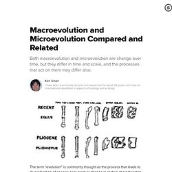 Macroevolution and Microevolution Compared and Related