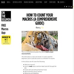 How To Count Your Macros (A Comprehensive Guide) - On The Regimen