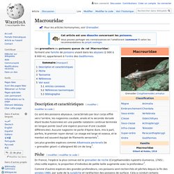 Macrouridae