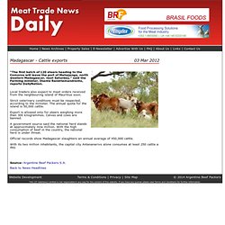 Madagascar - Cattle exports