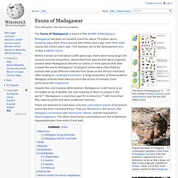 Fauna of Madagascar