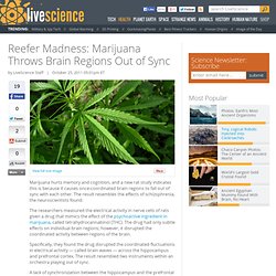 Reefer Madness: Marijuana Throws Brain Regions Out of Sync