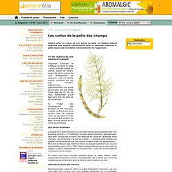 Les vertus de la prêle des champs - Magazine - N°39 - mars 2007 - PHYTOMELIA - pharmelia