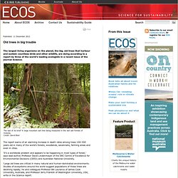 ECOS Magazine - Towards A Sustainable Future