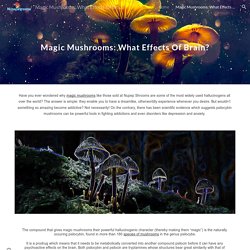 Magic Mushrooms: What Effects Of Brain? - Magic Mushrooms: What Effects Of Brain?