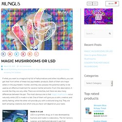 MAGIC MUSHROOMS OR LSD - Mungus Shrooms