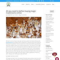 buy magic mushrooms online
