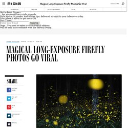 Magical Long-Exposure Firefly Photos Go Viral