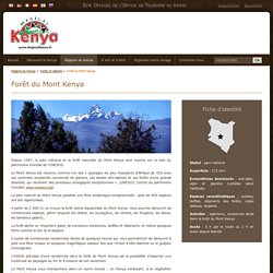  Forêt du Mont Kenya