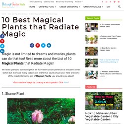 Magical Plants: 8 Magical Plants You Didn't Know Exist