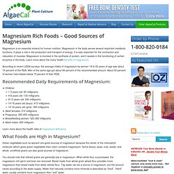 Magnesium Rich Foods